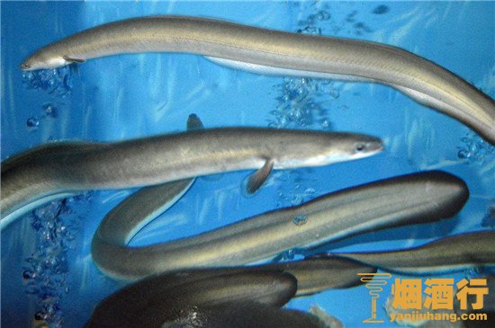 吃什么东西能戒酒, 戒酒土方法